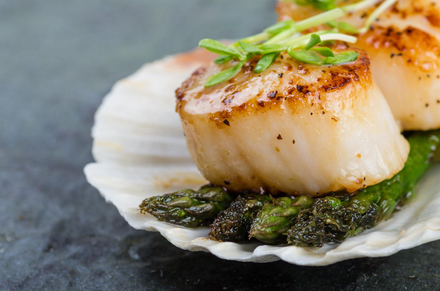 Jumbo Premium U10 Scallops The Standard Meat Co.