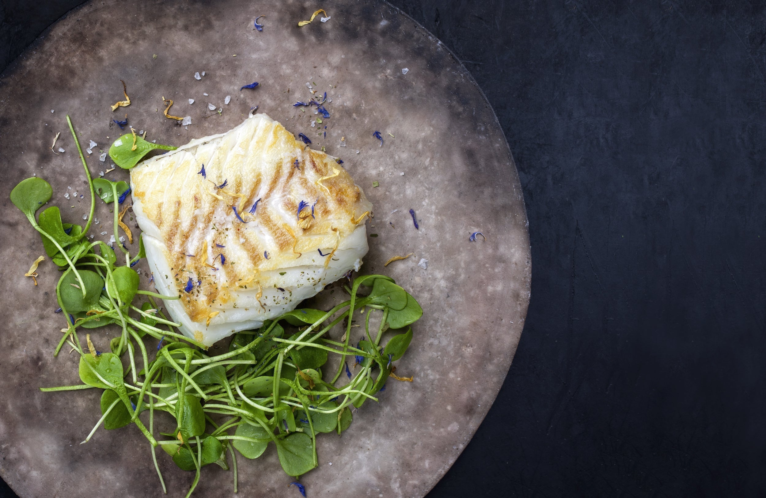 Halibut Filet – Butchers Block Aspen